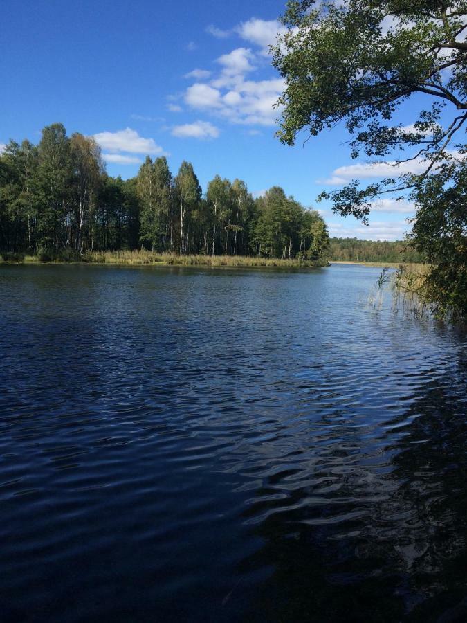Przytulisko Na Mazurach * Ruciane-Nida